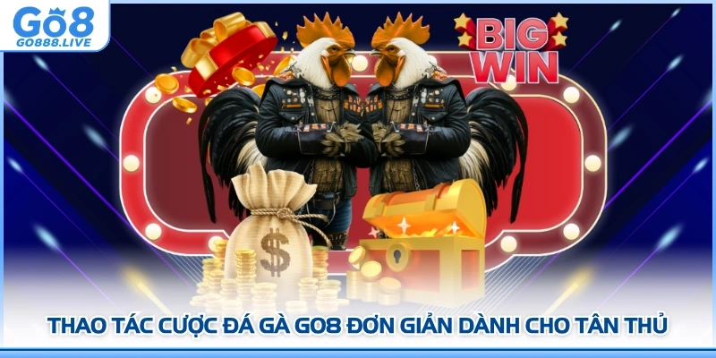 Thao tác cược Đá gà GO8 đơn giản dành cho tân thủ